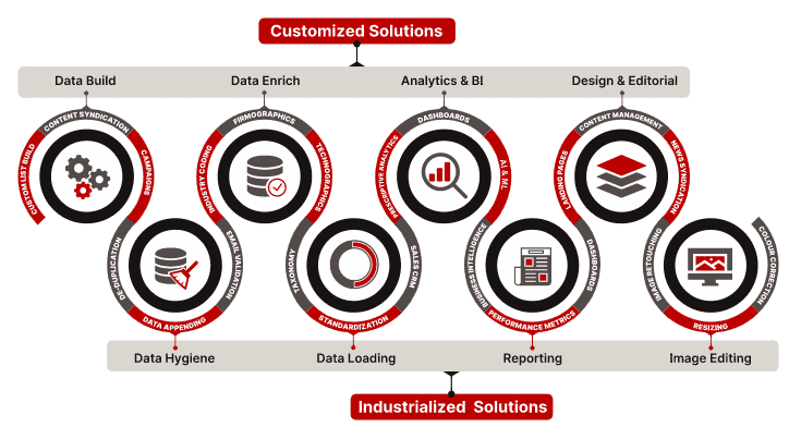 B2B Customer Data Life Cycle