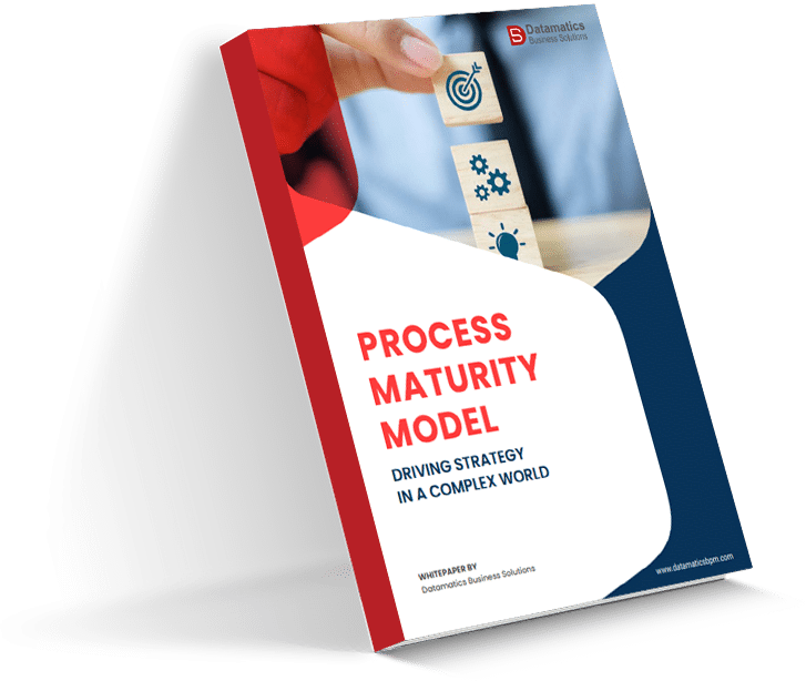 Whitepaper - Process Maturity Model