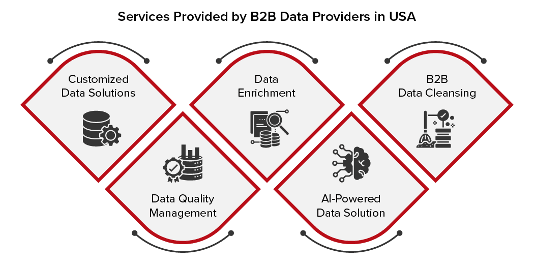 Services provided by b2b data provider