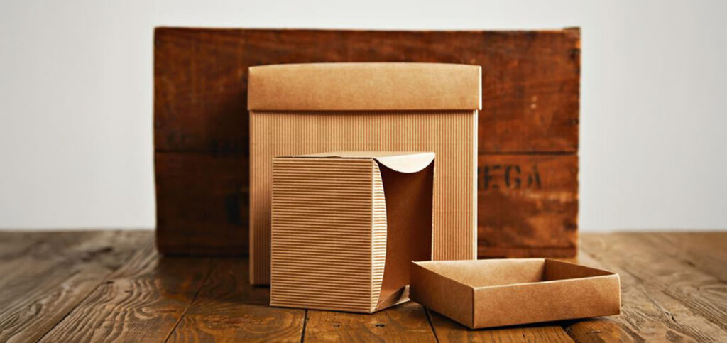 The Paper Revolution: Can Functional Paper Packaging Really Replace Plastics Around the World?